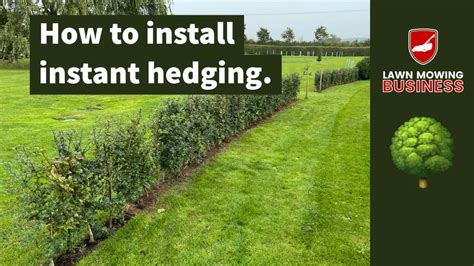 Image result for Preparing Ground for Native Hedge Planting