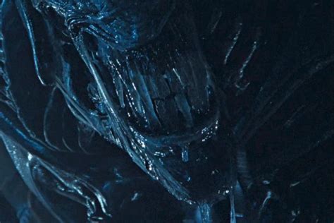 Alien Xenomorph Teeth に対する画像結果