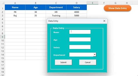Image result for VBA Data Entry