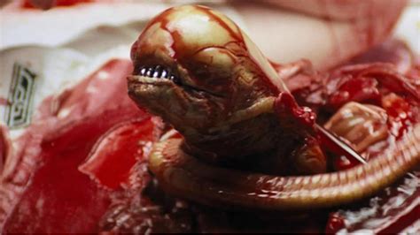 Image result for Alien Stomach Burster GIF