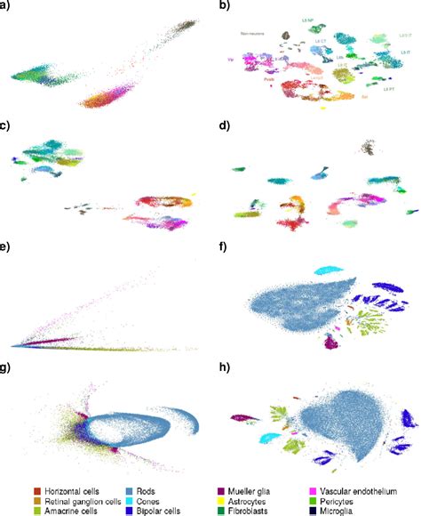 Data Structures Visualization に対する画像結果