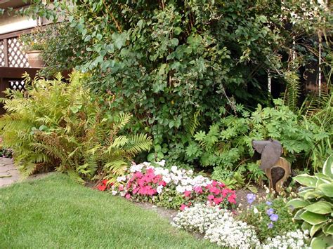 Hedgerow Planting Guide に対する画像結果