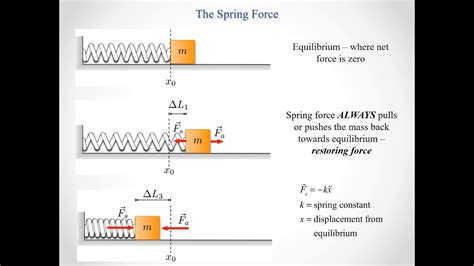 Image result for Spring Force Lab Setup