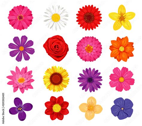 Image result for Flower Vector Free