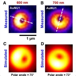 Simulation Patterns に対する画像結果