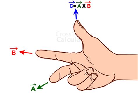 Image result for Right Hand Rule Calculator