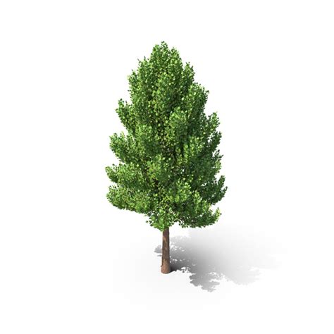 Image result for Cartesian Tree