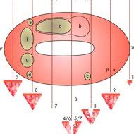 Image result for Loop Blocking