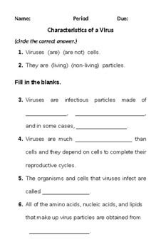 Image result for Virus Computer Worksheet Grade 4