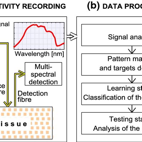 Image result for Diffuse Reflection Labelled Diagram