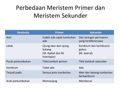 Image result for Contoh Variabel Sekunder