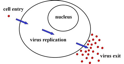 Image result for Cell Control Array Virus