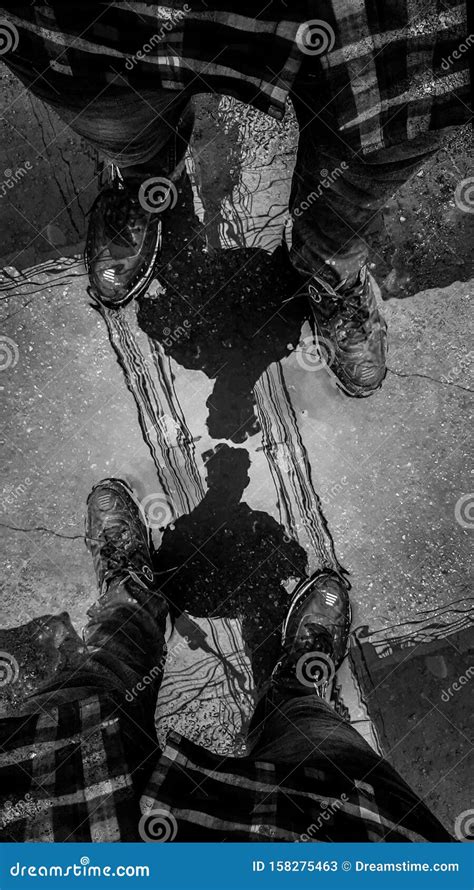 Self Portrait Reflection に対する画像結果