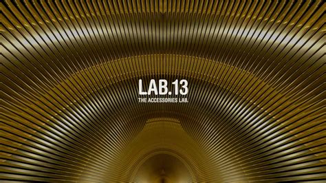 Image result for Lab 138 Logo