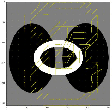 Image result for Plot Vector Field Yrange