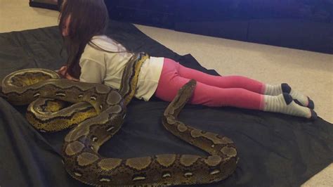 Image result for Reticulated Python Humanoid