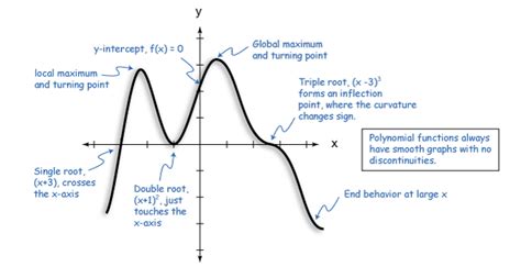 Image result for Generic Polynomial Graph