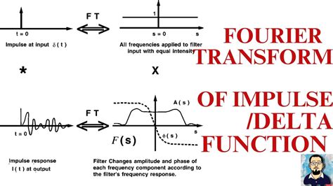 Image result for Impulse Function DSP