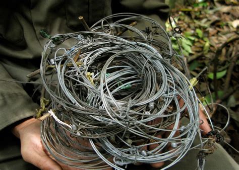 Image result for Snares Physics