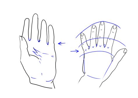 Image result for Hand Back View Drawing