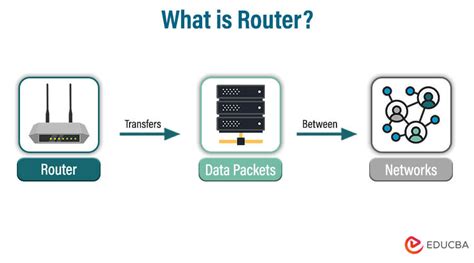 Afbeeldingsresultaten voor Types of Router Interfaces
