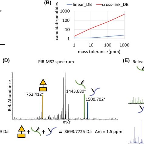 Afbeeldingsresultaten voor Peripheral Visual Field Defect