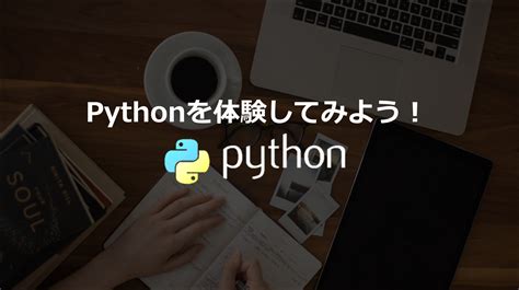 Python in ICT Method に対する画像結果