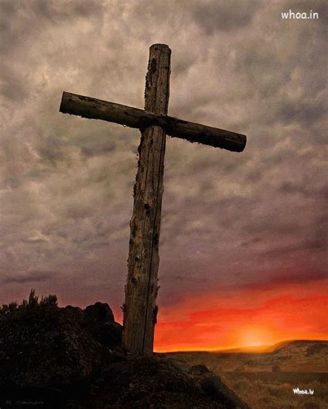 Image result for Cross-Platform Mobile Development Tools