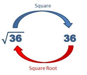 Toradh íomhá ar How Do You Find Inverse with Square Root