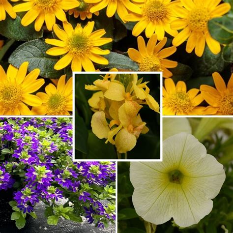 Afbeeldingsresultaten voor Window in Container