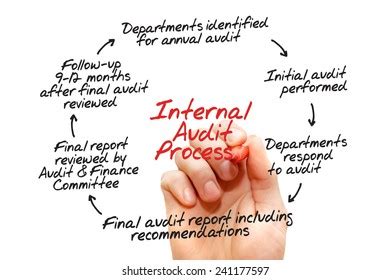 Internal Audit Process Flow Chart Business Stock Photo (Edit Now) 241177597