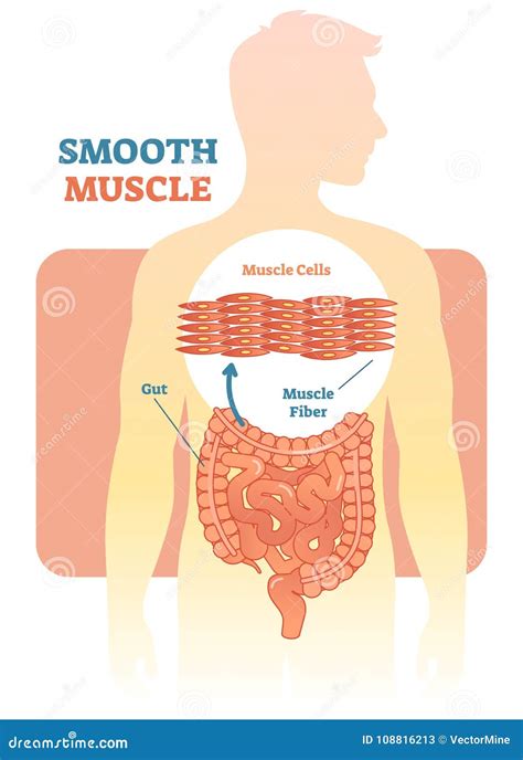 Tissue Cell Cartoon-এর ছবি ফলাফল