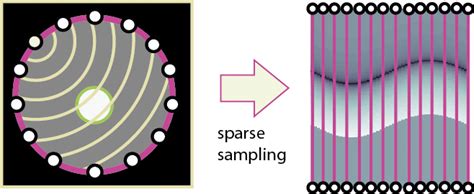 Image result for Sparse Sampling