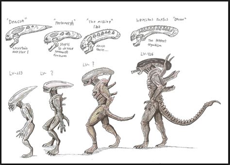 Image result for Alien Stomach Designs