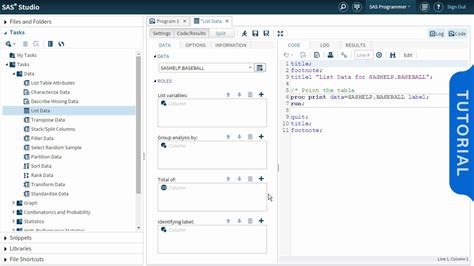 Toradh íomhá ar SAS Program