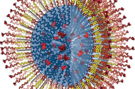 Afbeeldingsresultaten voor Doel Lab Logo