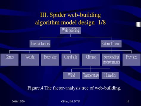 Spider Algorithm に対する画像結果