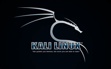 Image result for Kali Linux 画像