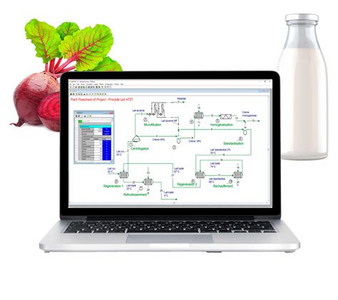 Image result for Process Modeling and Simulation