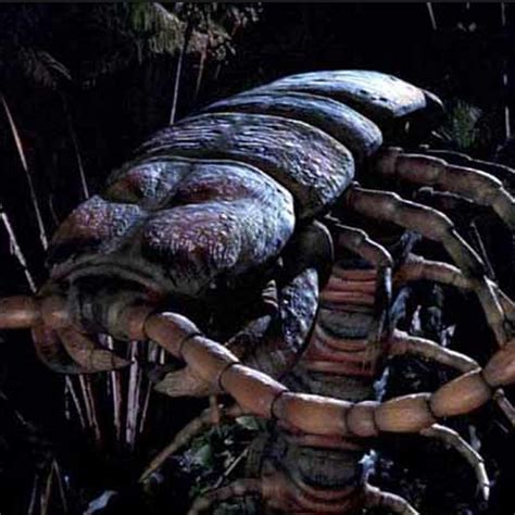 Alien Centipede に対する画像結果