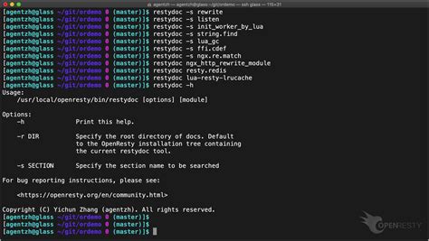 OpenResty Icon に対する画像結果