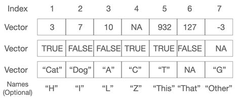 Types of Vectors Examples に対する画像結果