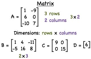 Image result for Matrix Dimensions