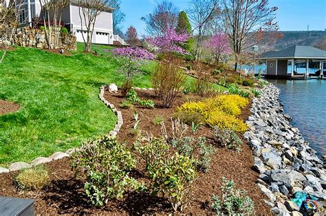 Image result for Defencable Buffer Planting