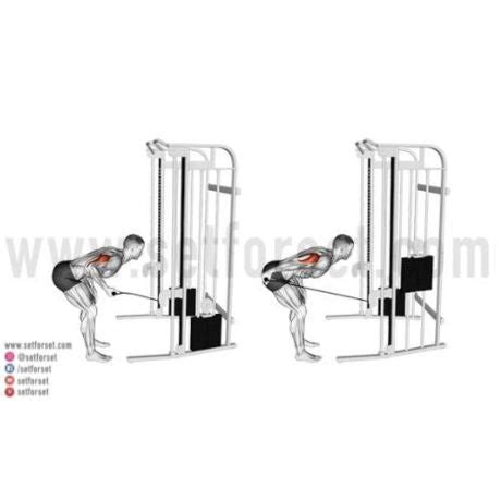Cable Tricep Exercises に対する画像結果