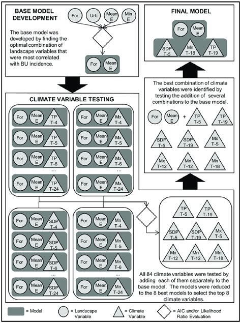 Image result for Statistical Model Selection Flowchart