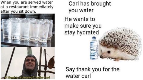 Image result for Benefits of Water Memes