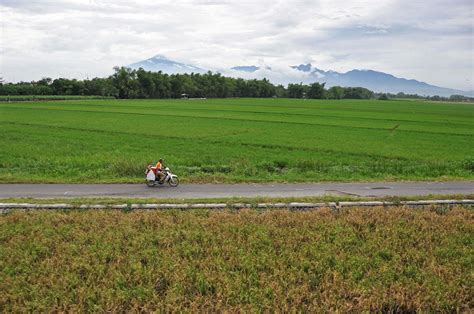 Image result for Java Indonesie