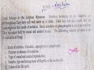 Flow Chart of Alexopoulos and Mims Classification に対する画像結果