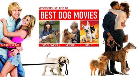 Image result for Animal Dog Movies